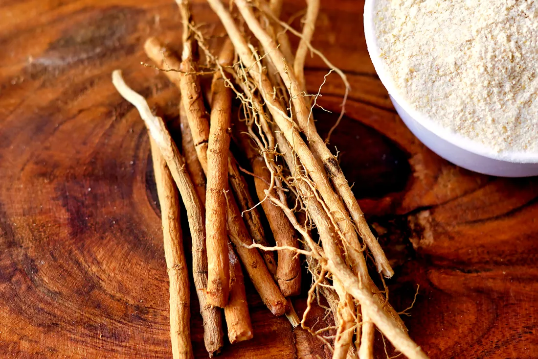 Ashwagandha and Testosterone: The Science Behind the Ancient Herb's Hormonal Effects